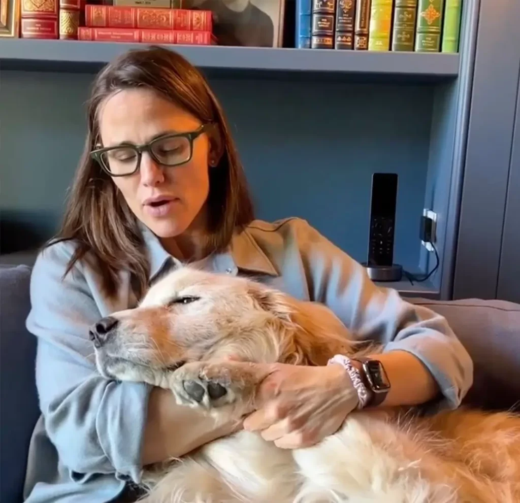 cão da Jennifer Garner